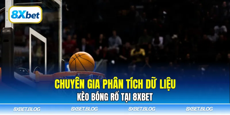 Chuyên gia phân tích dữ liệu kèo bóng rổ tại 8XBET