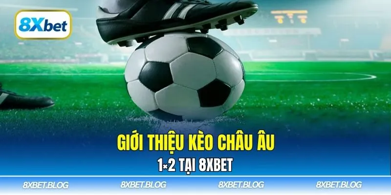 Giới thiệu kèo Châu Âu 1×2 tại 8xbet