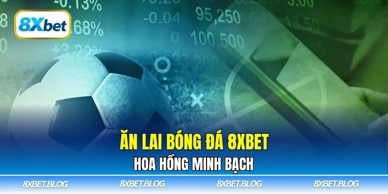 Ăn lai bóng đá 8xbet – Hoa hồng minh bạch