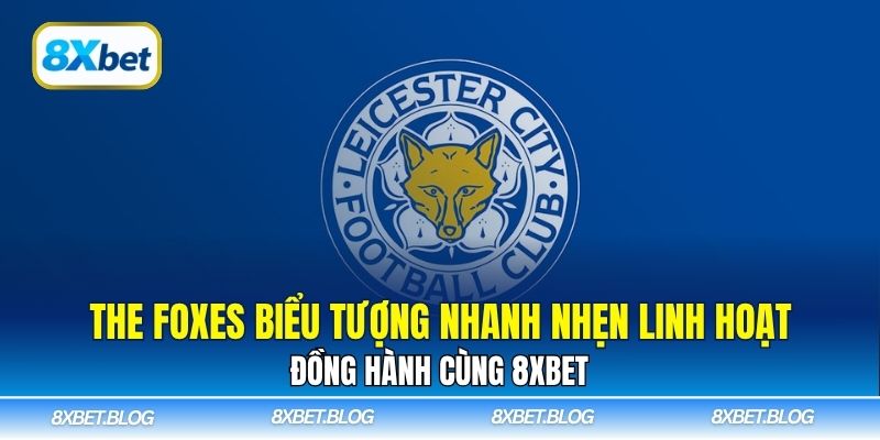 The Foxes biểu tượng nhanh nhẹn linh hoạt đồng hành cùng 8xbet