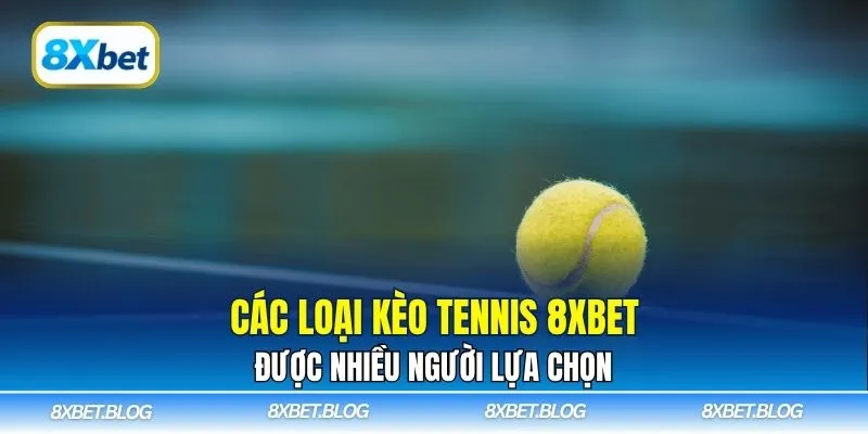Các loại kèo tennis 8Xbet được nhiều người lựa chọn