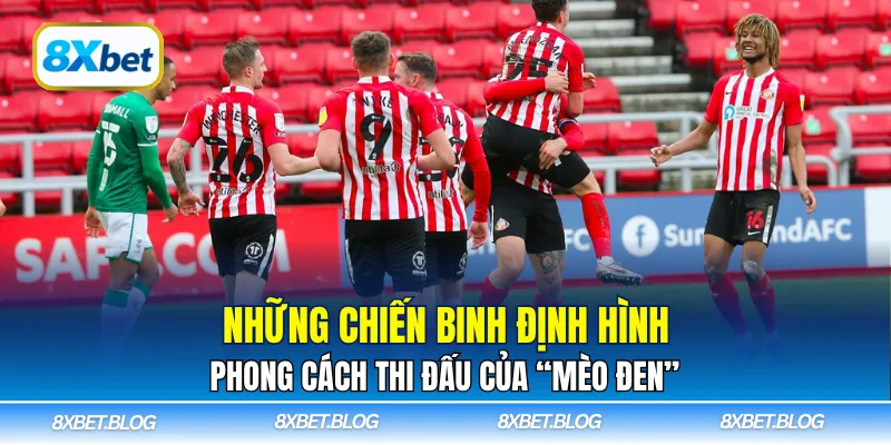 Những chiến binh định hình phong cách thi đấu của “Mèo Đen”