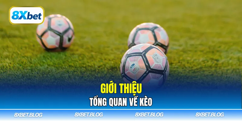 Giới thiệu tổng quan về kèo