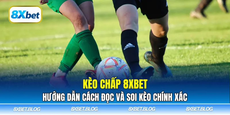 Khám phá kèo chấp 8Xbet và học cách soi kèo chính xác từ chuyên gia