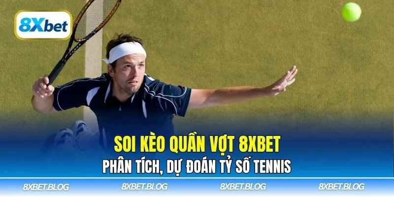 Soi kèo quần vợt 8Xbet mang đến thông tin phân tích